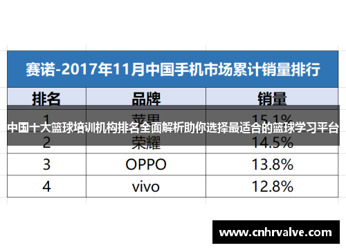 中国十大篮球培训机构排名全面解析助你选择最适合的篮球学习平台